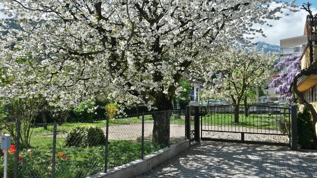 Apartamento Casa Ferrari Monica Calceranica al Lago Exterior foto